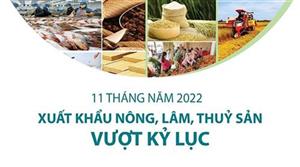 Xuất khẩu nông, lâm, thủy sản 11 tháng vượt kỷ lục