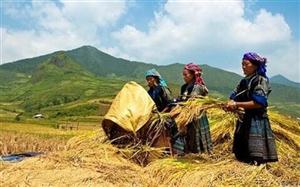 Phê duyệt Chương trình phát triển thương mại miền núi, vùng sâu, vùng xa và hải đảo giai đoạn 2021-2025