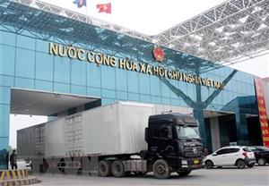 Cửa khẩu Móng Cái tạm ngừng hoạt động xuất nhập khẩu trong 7 ngày Tết