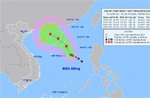 Trong 24 giờ tới, áp thấp nhiệt đới khả năng mạnh thành bão