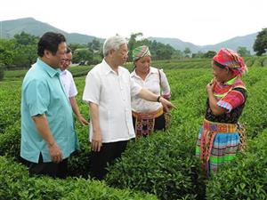 Đổi mới tư duy phát triển nông nghiệp, nông dân, nông thôn - Nhìn từ sự lãnh đạo của Đảng, vai trò của hệ thống chính trị và phát huy dân chủ ở nông thôn