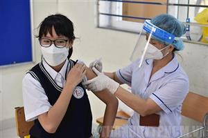 81% người được hỏi sẵn sàng đưa trẻ từ 5-11 tuổi đi tiêm vaccine phòng COVID-19