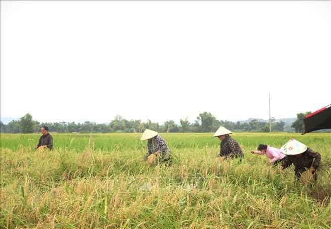 Ngày 3/7/2026, Chủ tịch UBND tỉnh ban hành Công điện số 4174/CĐ-UBND về việc chủ động ứng phó với bão số 01 năm 2026.