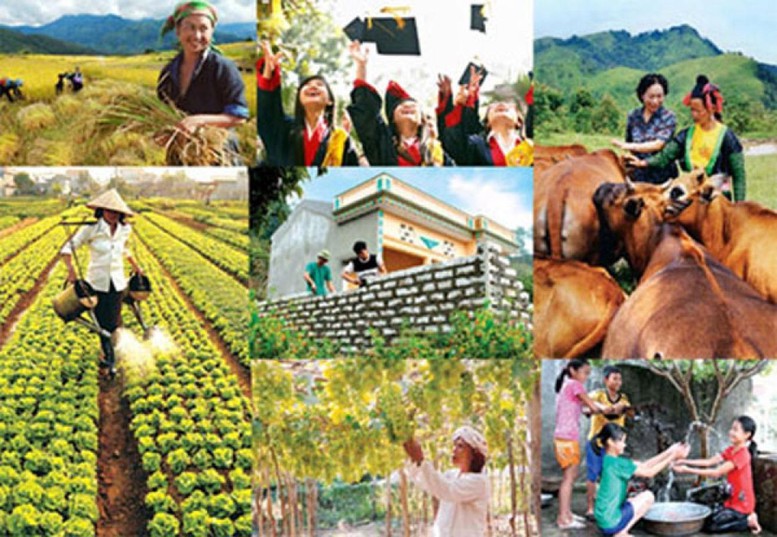 Chỉ đạo, điều hành của Chính phủ, Thủ tướng Chính phủ ngày 15/7/2026 (1)
