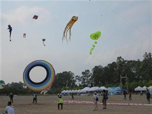 Văn Giang: Festival diều quốc tế 2016