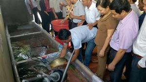 Hội thảo đầu bờ mô hình sinh sản nhân tạo cá chép lai V1