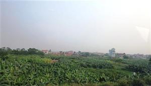 Khoái Châu: Thực hiện nhiều chương trình, dự án hỗ trợ sản xuất nông nghiệp, nâng cao thu nhập cho người dân