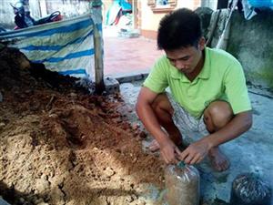 Làm giàu từ trồng nấm