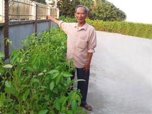 Chi hội trưởng cựu chiến binh gương mẫu