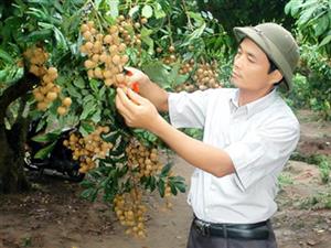 Vừa làm giàu, vừa tích cực tham gia các hoạt động xã hội