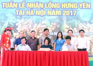 Khai mạc Tuần lễ Nhãn lồng Hưng Yên tại Hà Nội