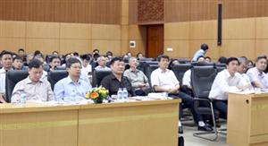 Hưng Yên tổng kết chương trình phát triển nhanh đàn bò lai Brahman đỏ