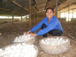 Người phụ nữ dám nghĩ, dám làm