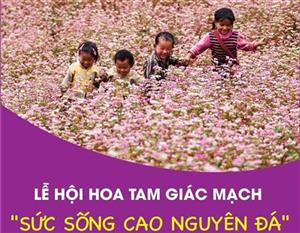 Lễ hội hoa Tam giác mạch 