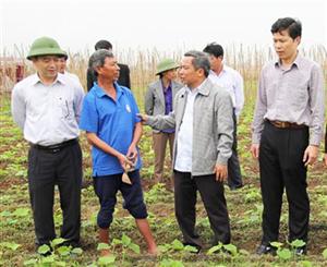Chủ tịch UBND tỉnh Doãn Thế Cường kiểm tra sản xuất nông nghiệp