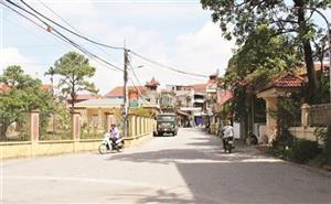 Sức xuân trên vùng đất Kim Động