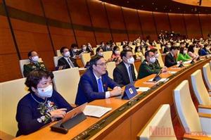 499 người trúng cử đủ tư cách đại biểu Quốc hội khóa XV