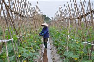 Xã Hưng Đạo: Khắc phục tình trạng thiếu nước phục vụ sản xuất