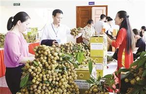 Nông sản xuất ngoại