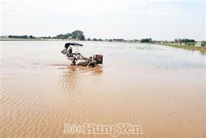 Đẩy nhanh tiến độ lấy nước đổ ải vụ xuân