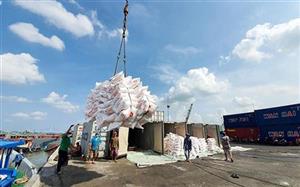 Bài 2: Để hạt gạo hóa “hạt vàng”