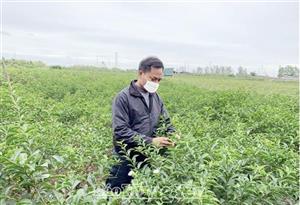 Nông dân Hưng Yên tích cực tham gia xây dựng nông thôn mới nâng cao, nông thôn mới kiểu mẫu