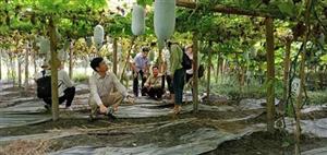 Đánh giá đúng vai trò của kinh tế tập thể
