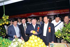 Khai mạc Hội chợ hàng công nghiệp nông thôn và nông sản vùng đồng bằng sông Hồng - Lễ hội cam Hưng Yên