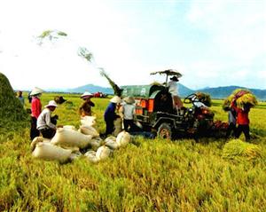 Tiếp tục phát động Cuộc thi viết về nông nghiệp, nông dân, nông thôn năm 2015