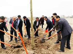 Hưng Yên: Sôi nổi các hoạt động hưởng ứng Tết trồng cây