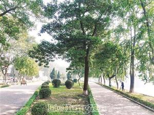 Tiếng chổi tre đêm giao thừa