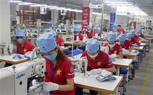 Ngành dệt may ứng phó bất ổn thị trường