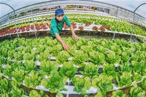 Đổi mới chính sách, pháp luật đất đai, phục vụ phát triển nông nghiệp, nông dân, nông thôn theo hướng hiện đại, bền vững