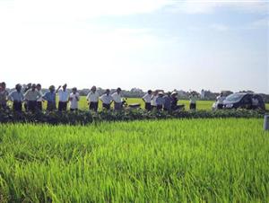 Hưng Yên: đẩy mạnh hoạt động nghiên cứu, chuyển giao, ứng dụng khoa học và công nghệ