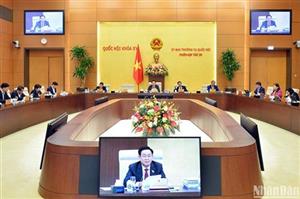 Tạo cơ sở pháp lý cho việc xử phạt hành vi vi phạm pháp luật trong lĩnh vực kiểm toán nhà nước