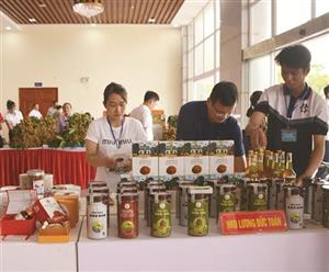 Phát triển thương mại nội địa