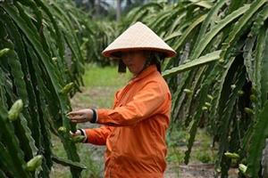 Đẩy mạnh bảo hiểm xã hội cho nông dân