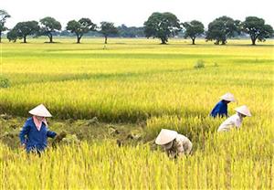 Đổi mới phát triển các hình thức kinh tế hợp tác trong nông nghiệp trên địa bàn tỉnh Hưng Yên giai đoạn 2015-2020