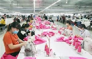 Xây dựng, phát triển tổ chức đảng, đảng viên trong các đơn vị kinh tế tư nhân