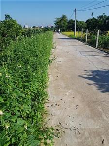 Xã Tam Đa phát triển đường nội đồng kết nối sản xuất tiêu thụ nông sản