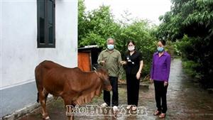 Hưng Yên: Chung tay xoa dịu nỗi đau da cam