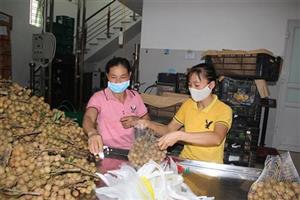 Liên kết tiêu thụ nông sản giữa doanh nghiệp và người dân