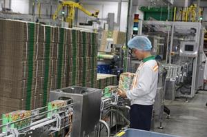 Tạo “sức hút” trong đầu tư, khai thác các khu công nghiệp