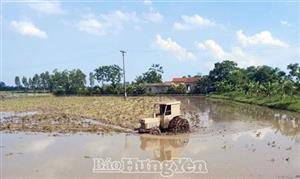 Tiên Lữ: Phấn đấu gieo cấy lúa chất lượng cao chiếm 75% diện tích