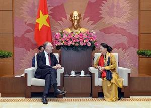 Chủ tịch Quốc hội Nguyễn Thị Kim Ngân tiếp Chủ tịch Ủy ban Thương mại quốc tế của EP