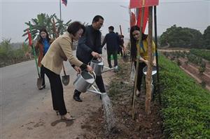 Cụm thi đua số 3 của Liên đoàn Lao động tỉnh: Trồng “Hàng cây công đoàn”