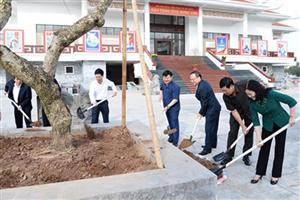 Hưng Yên: Phát động Tết trồng cây Xuân Kỷ Hợi 2019