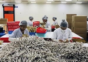 Sôi nổi không khí lao động những ngày đầu năm
