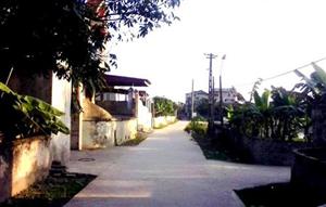 Xã Nhật Tân (huyện Tiên Lữ): 84 tổ tự quản tham gia bảo vệ môi trường