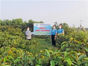 Phụ nữ Hưng Yên năng động khởi nghiệp